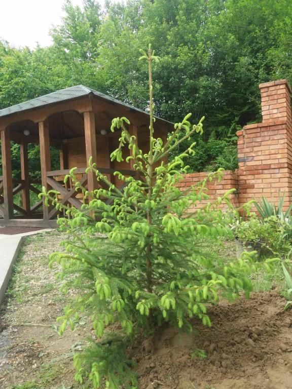 Виллы Villa Na uzlissi Мигово-54